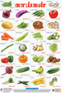 Big Wall Chart VEGETABLES காய்கள்