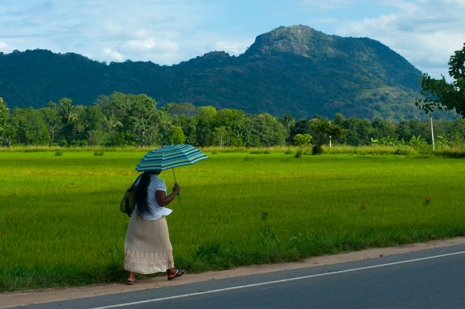 ஈழம்